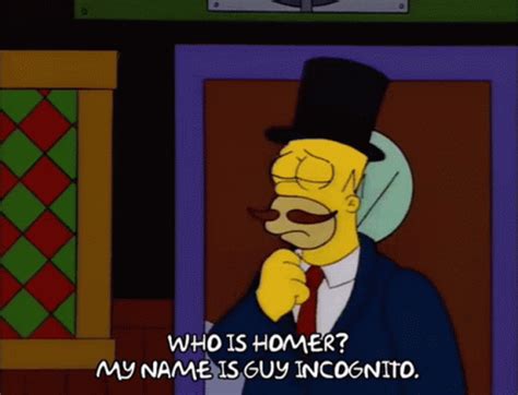 guy incognito|guy incognito simpsons.